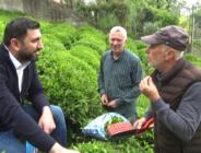 Çay Üreticileri: ‘Perişan durumdayız, umudumuz Kılıçdaroğlu” (Videohaber)