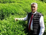 Çay Üreticileri Dayanışma Derneği Başkanı Mustafa Mavi,’den dikkat çeken iddia..!
