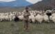 Çambükü köylüsü Kurum’a isyan etti “”gönderdiğin dozerler 500 koyunumla beraber az kalsın beni de gömüyordu”
