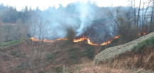 Artvin’de Çıkan Orman Yangını Halka Endişe Yarattı