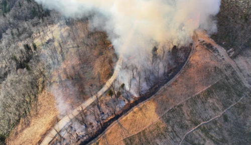 Orman Yangınları Artışı Karadeniz’e Doğru Yaygınlaşıyor