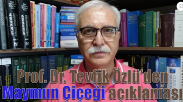 Prof. Dr. Tevfik Özlü: Maymun Çiçeği hastalığı pandemi gibi olmaz